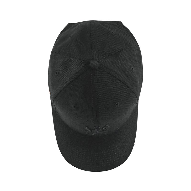 O.Leo Baseballkappe – Schwarz – Schwarzer Löwe – Pride-Flagge – Unisex