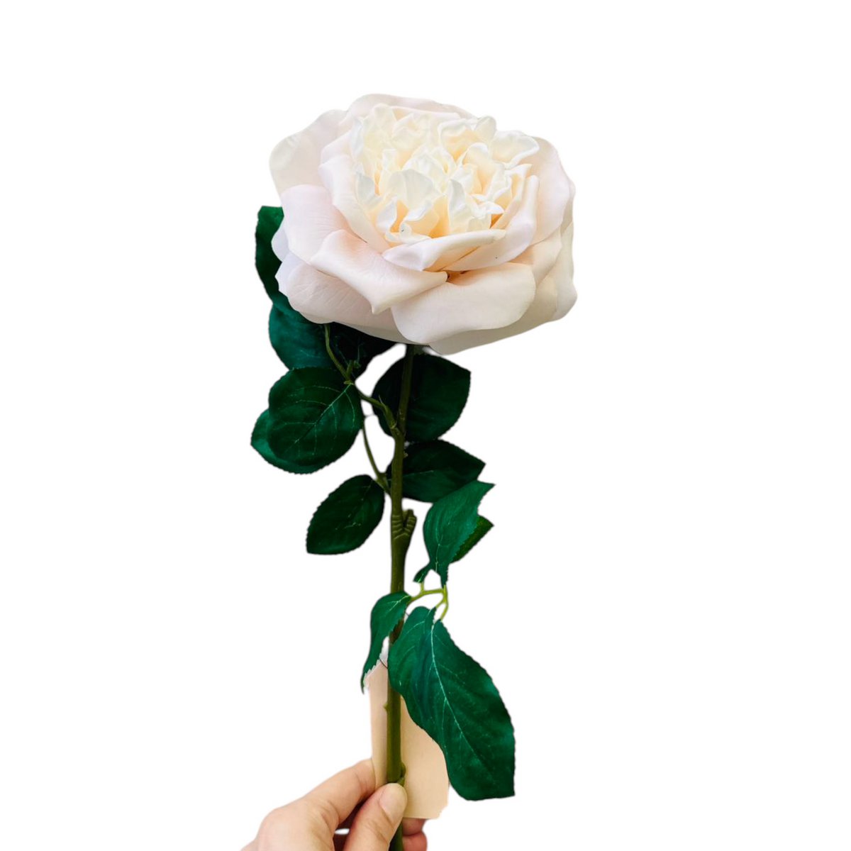 QMF Touch Rose 65cm Lys pink 2STK