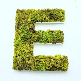 Moss-covered letter 'E' in natural green color, made from stabilized vegetation, suitable for decorative purposes.