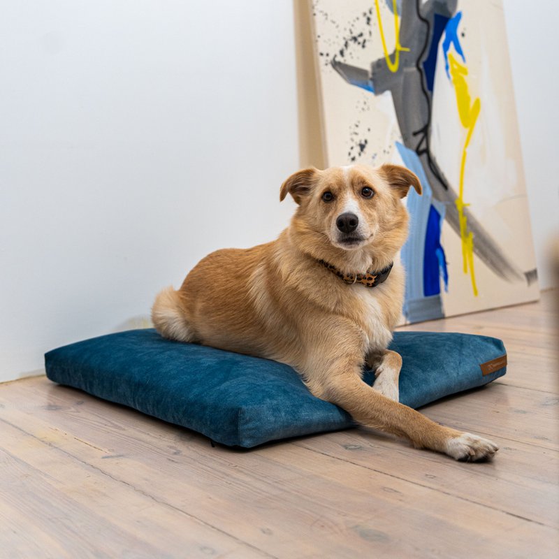 Madras "Soft" til en hund og en kat - genbrugt