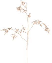 Kunsttak Varen Mini 75 cm goud