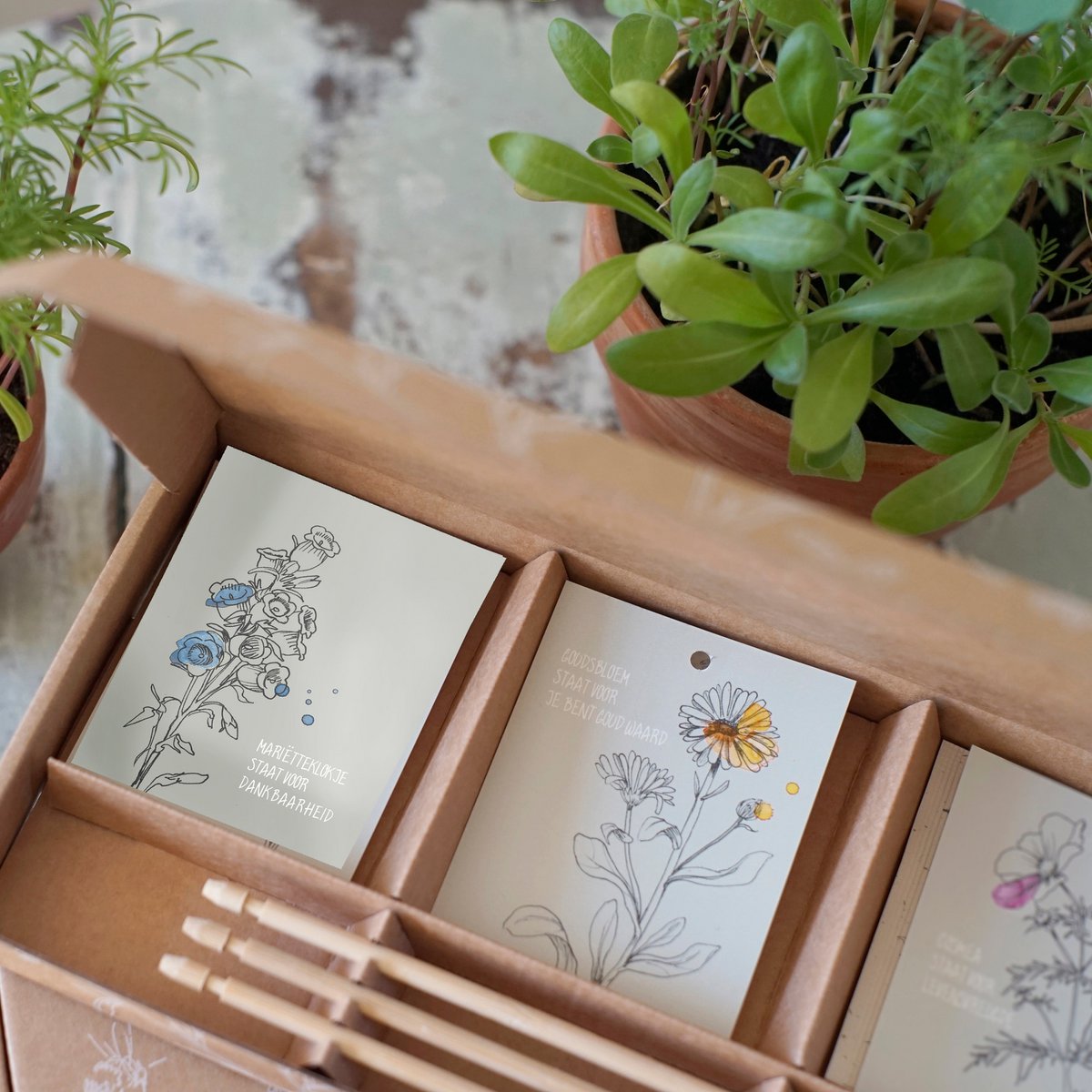 Cadeaudoosje Waardering zaaien