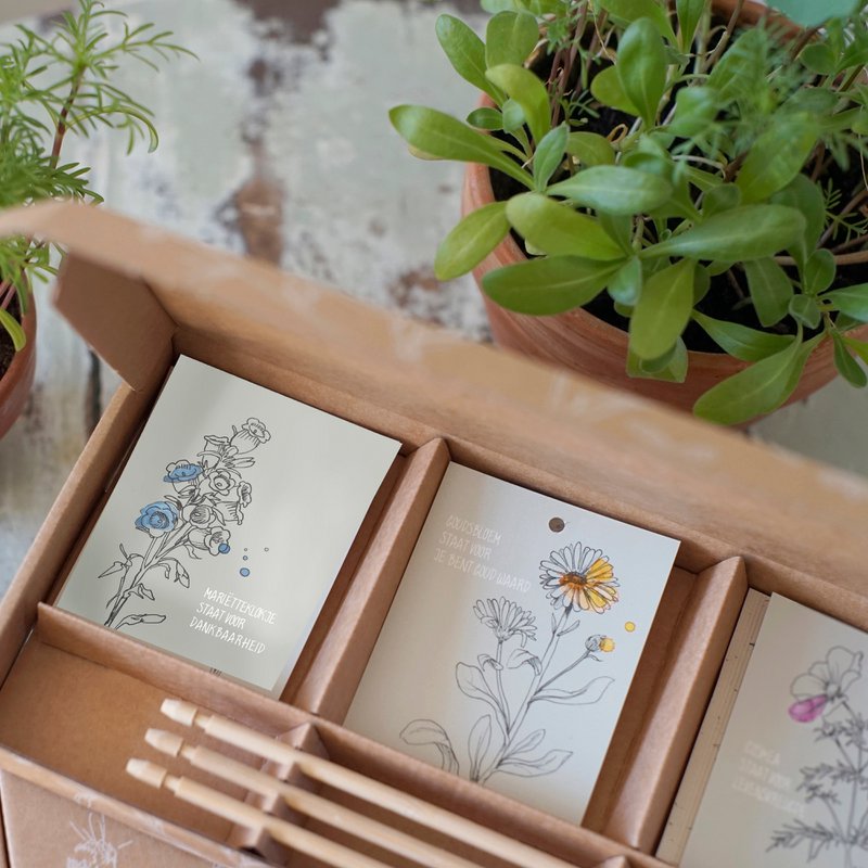 Cadeaudoosje Waardering zaaien