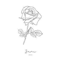 A decorative tile featuring a hand-drawn illustration of a June birth flower, a daffodil, with the text "June" below.