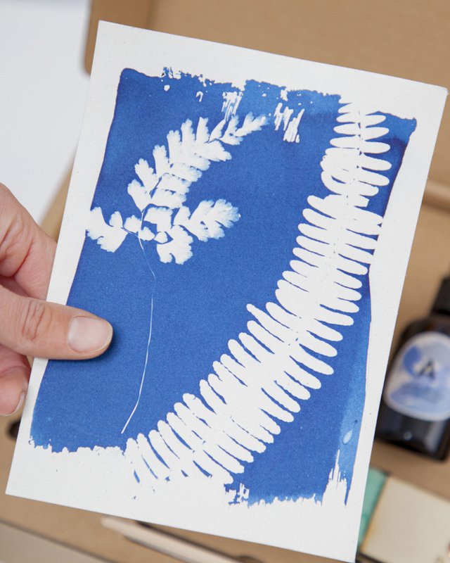 Cyanotype sæt