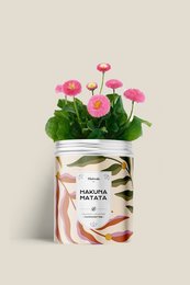 DIAIWAIE