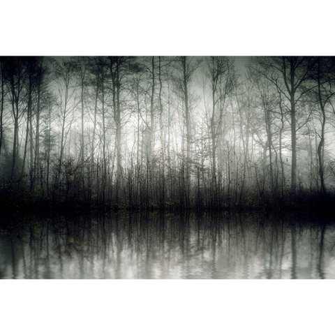 Akoestisch beeld - De mist