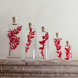 Het Herbarium - Rode Ruscus ondergedompelde plant
