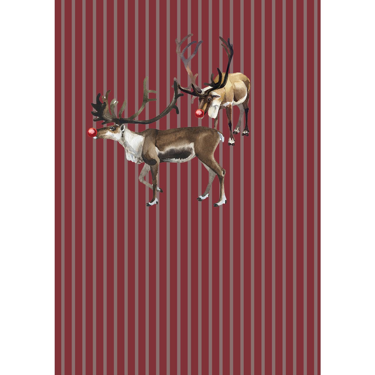 Juego de 8 tarjetas navideñas incl. sobre - Galleta de Navidad