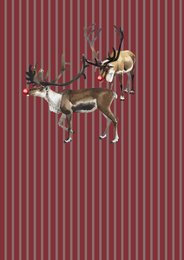 Lot de 8 cartes de Noël incl. enveloppe - Cracker de Noël