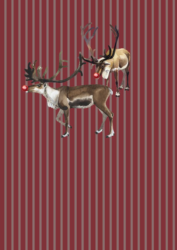Lot de 8 cartes de Noël incl. enveloppe - Cracker de Noël