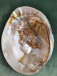 A gold-toned necklace with a pendant featuring a delicate, intricate design set against a natural shell background.