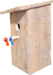 birdhouse old dutch StB skew roof