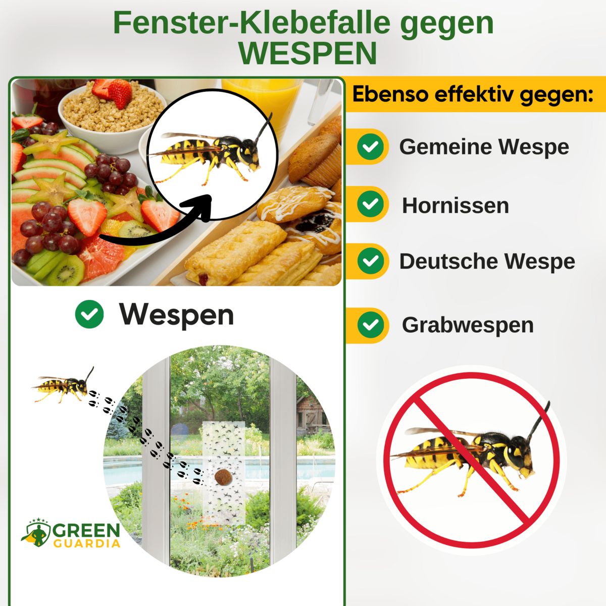 Wespen Fenster-Falle