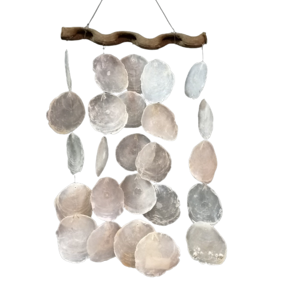 Shell pendant 1