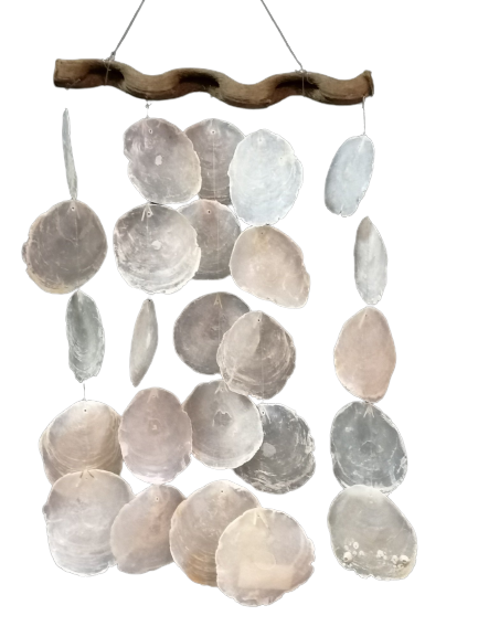 Shell pendant 1