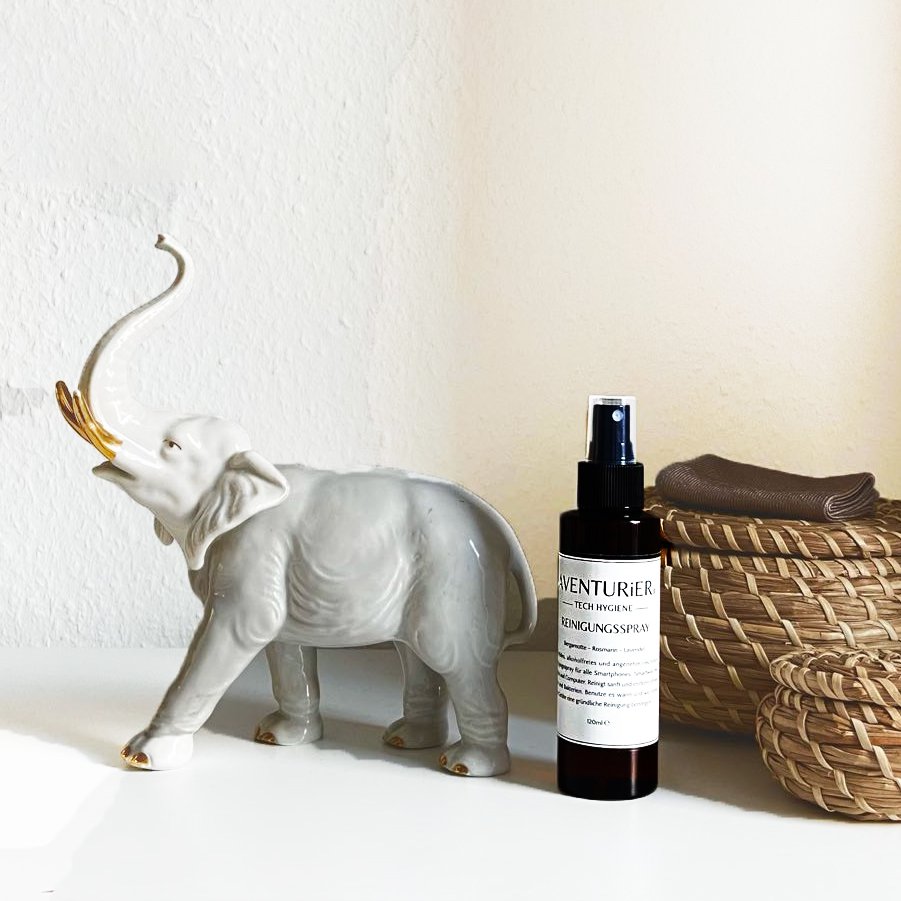 AVENTURiER spray nettoyant ''Rosemary'' Home & Office 120ml avec 1x chiffon microfibre et sac de rangement