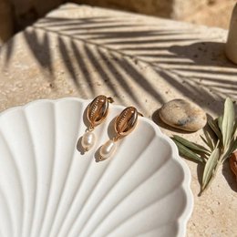 Cáscara de cowrie