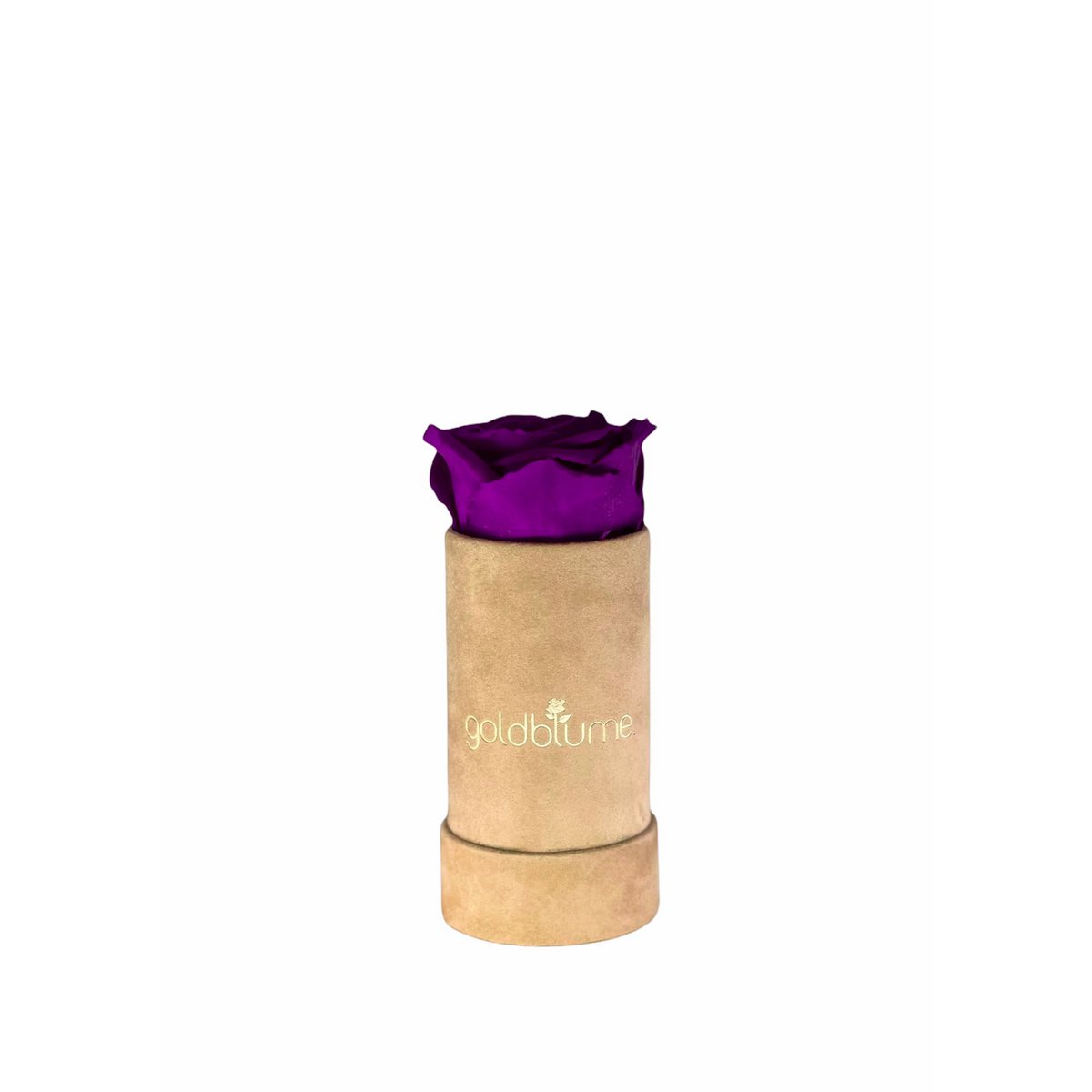 Velvet Plum XS