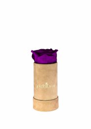 Velvet Beige Collection