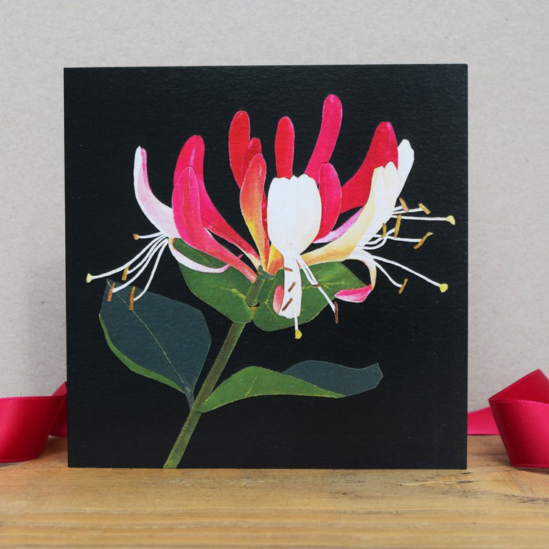 Carta Caprifoglio (carte di fiori)