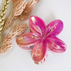 Haarklem flower fuchsia