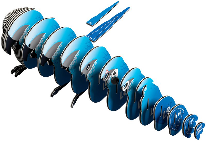 EUGY 3D Puzzel - Spix' Ara