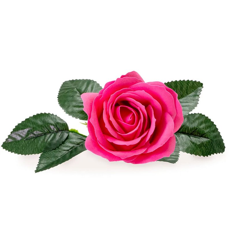 Fuchsia-Seifenrose