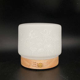 Lisalia Ultrasonic Diffuser - Koi Carp
