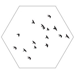 Wall hexagon birds white