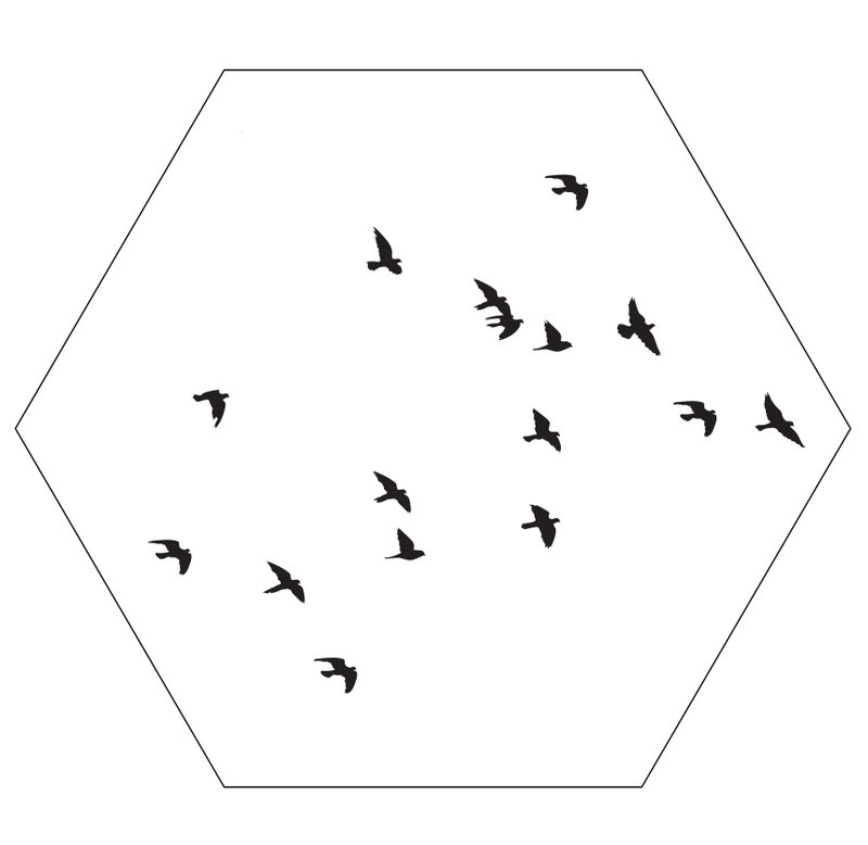 Wall hexagon birds white