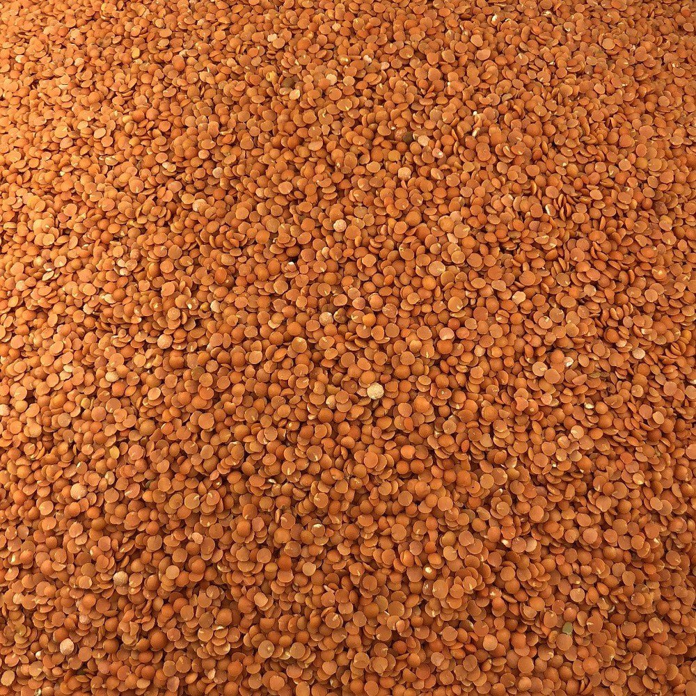 Bulk Organic Coral Lentil