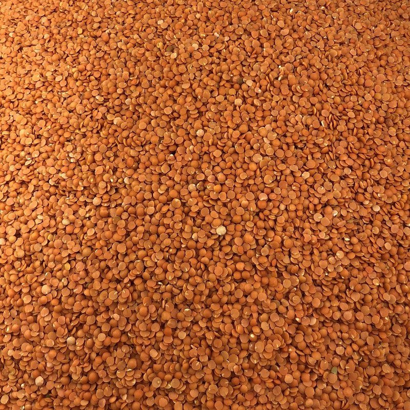 Bulk Organic Coral Lentil
