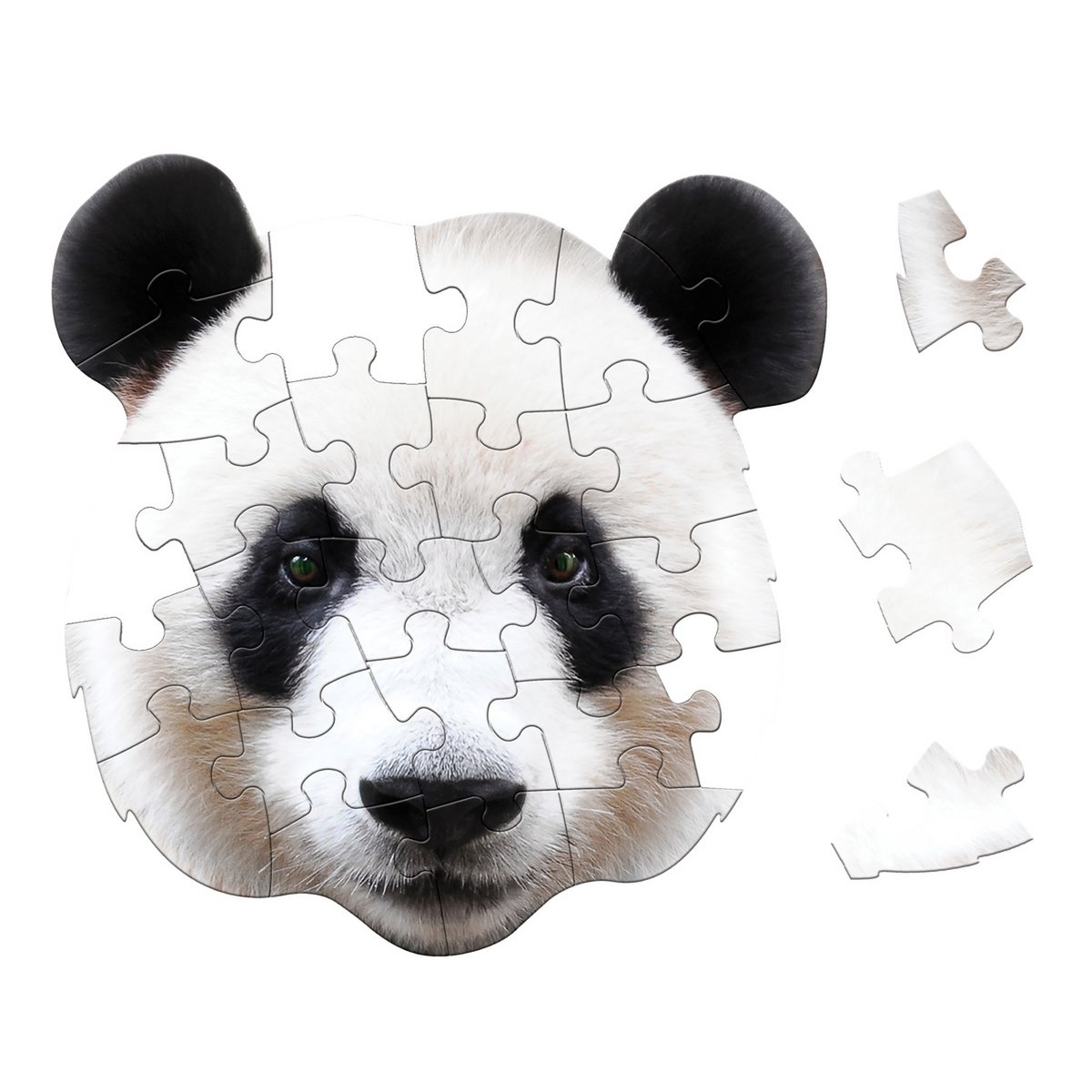 I Am Preschool - Panda