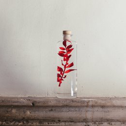 H-23cm red