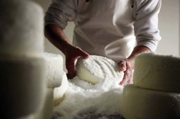🇬🇧 Rijpe pecorino 75 dagen oud – ambachtelijke schapenkaas