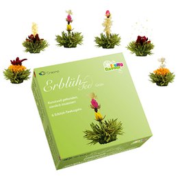 Box of 6 AbloomTea "Green Tea" - Assorted green tea blooming flowers in a gift box.