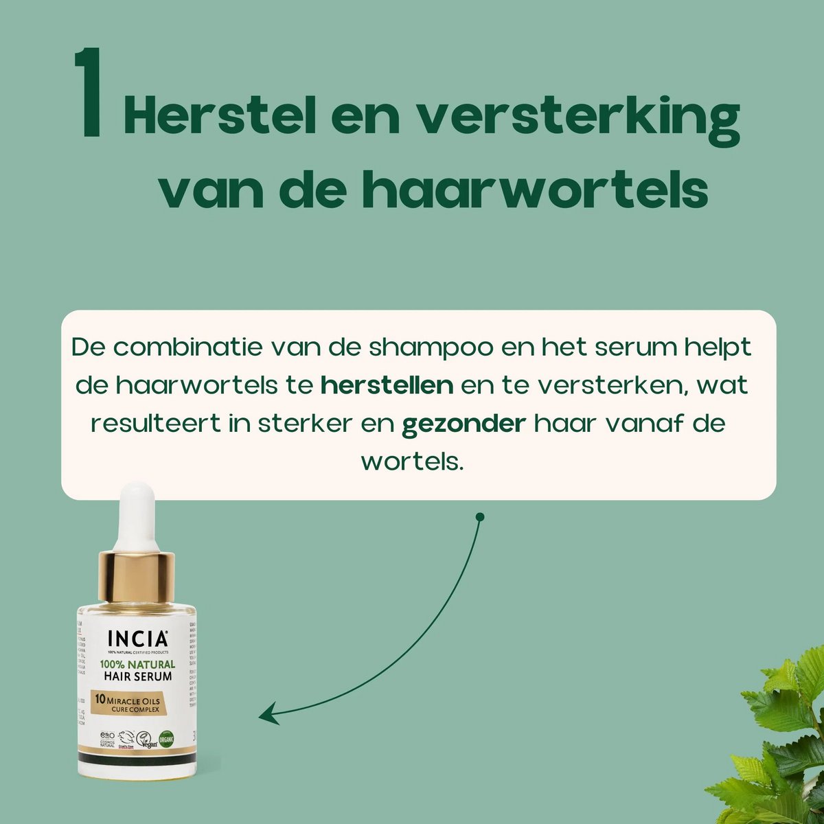 INCIA Natürliches Shampoo