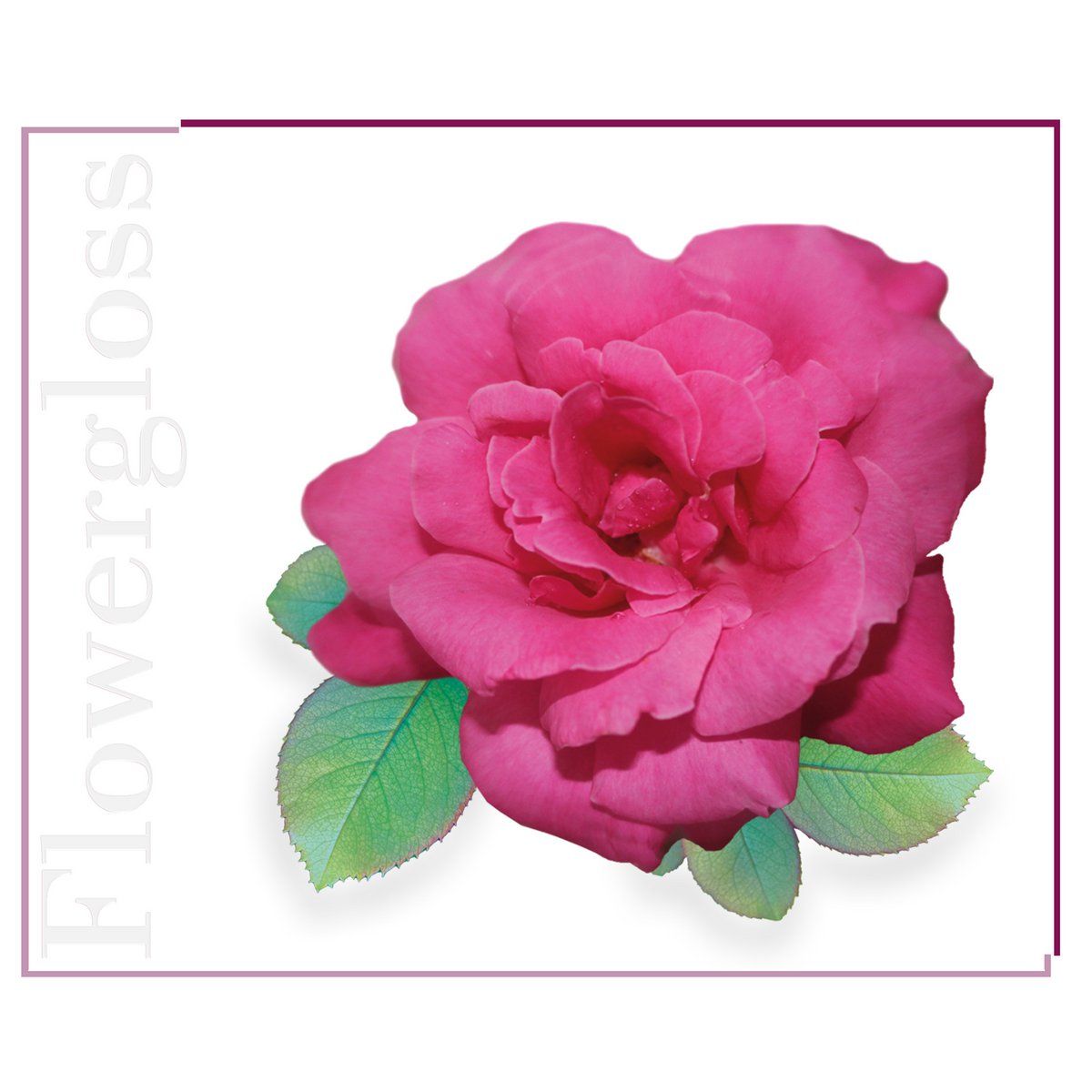 Flowergloss FG04 Rose | made from fruit and vegetables 💚 Vegan without titanium dioxide “NEW”