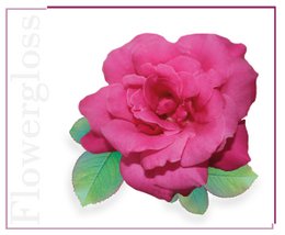 Flowergloss FG04 Rose | made from fruit and vegetables 💚 Vegan without titanium dioxide “NEW”