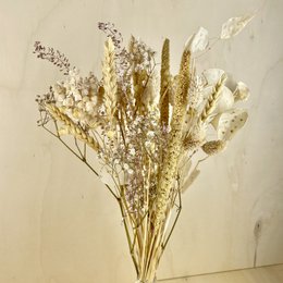 Bukiety BLOOMY Suszone kwiaty Beżowy