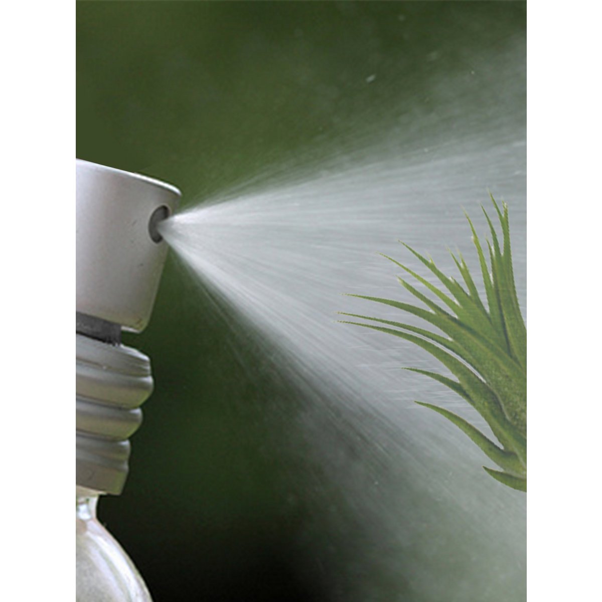 Engrais pour plantes aériennes