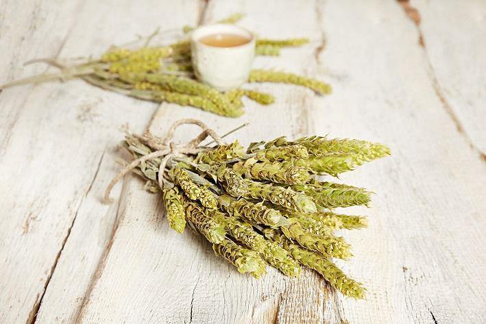 Tè greco di montagna biologico
