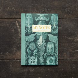 Note Booklet - Haeckel 3