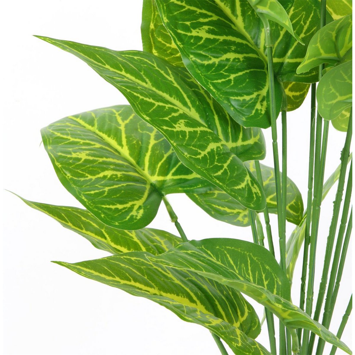Plastica Dieffenbachia - Ø 15 x 55 cm - pianta d'appartamento tropicale - pianta falsa realistica - manutenzione - Pianta interna senza allergia - Green