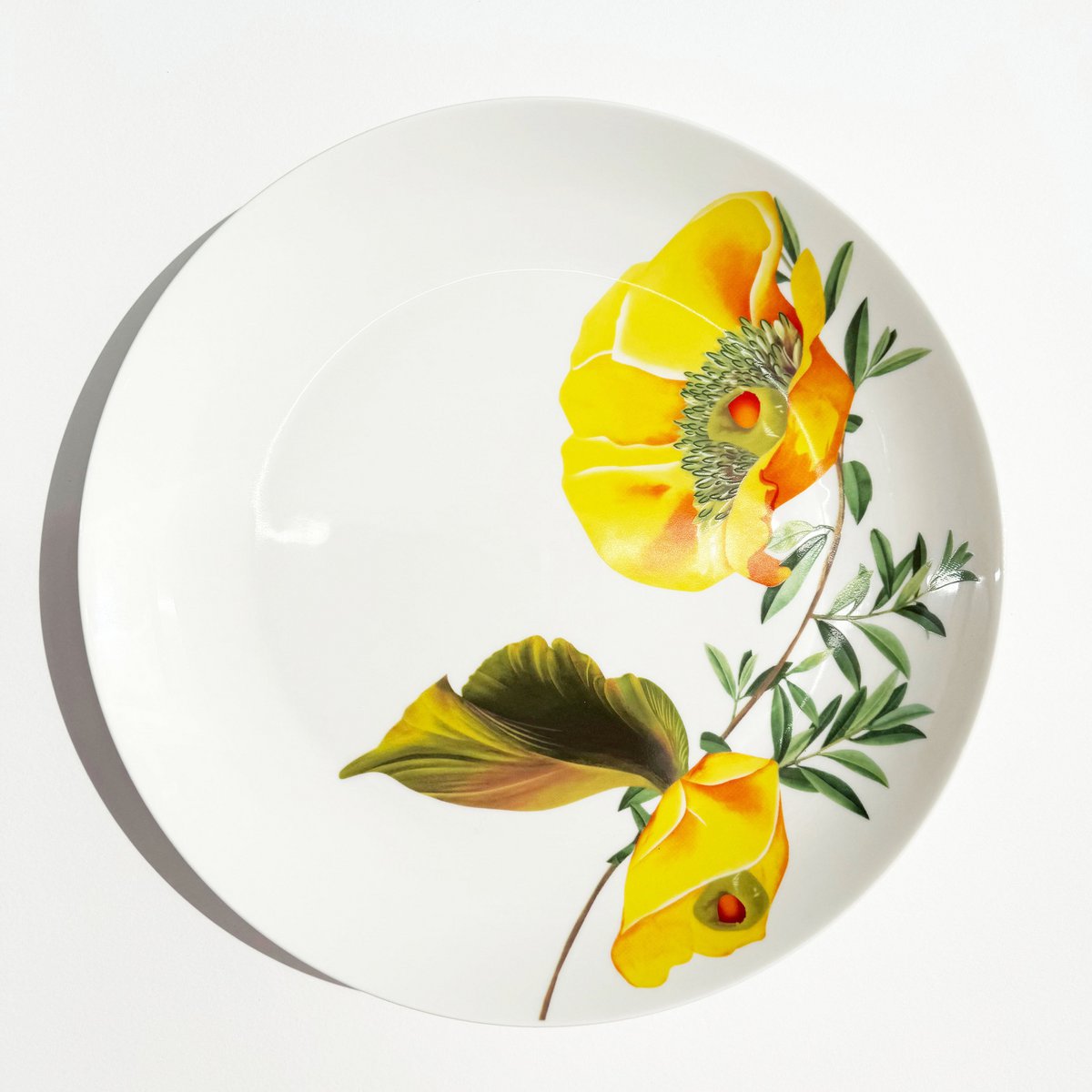 Botanical Wonders - Set of 4 dinner plates