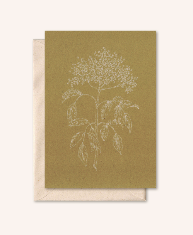 Duurzame kaart + envelop | Vlierbloesem | Karton