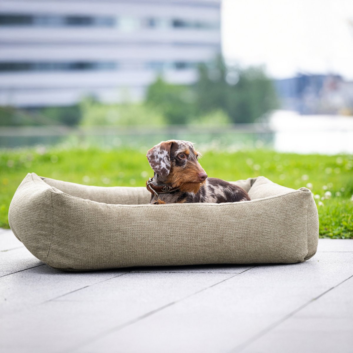 TUDOR ORTHO | Premium Orthopedic Dog Bed