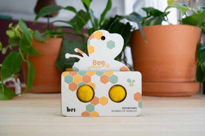 Seedbombs - Bee Warriors