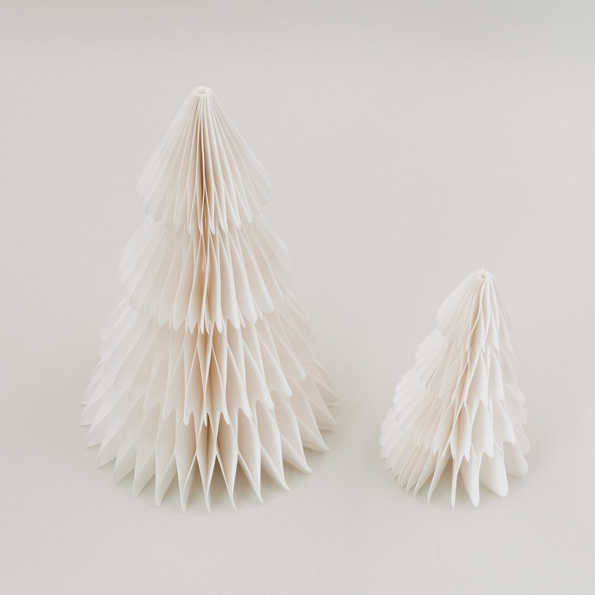 Papiertanne 2er Set nature (ve = 6 sets)